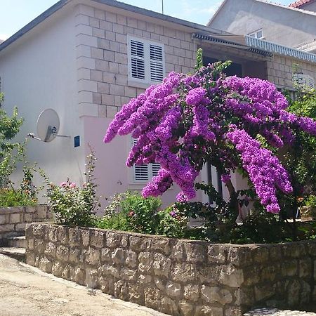 Apartments Laura Korčula Стая снимка